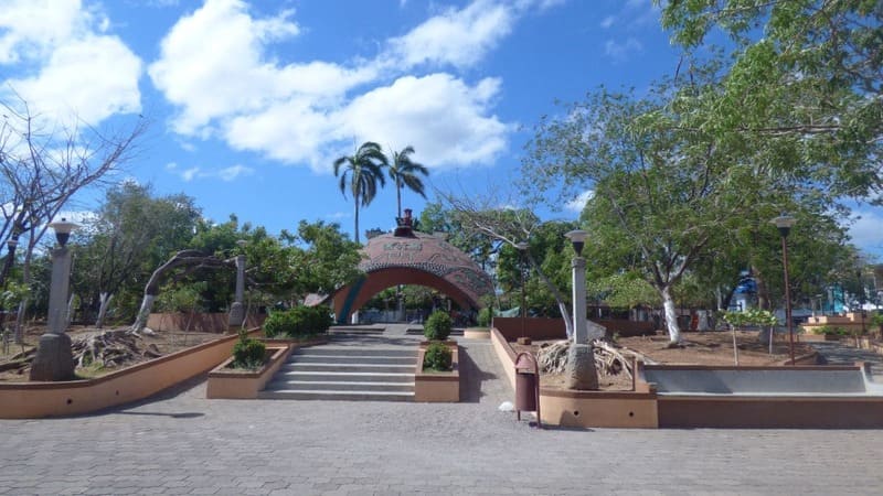 imagen de Bus a Santa Cruz